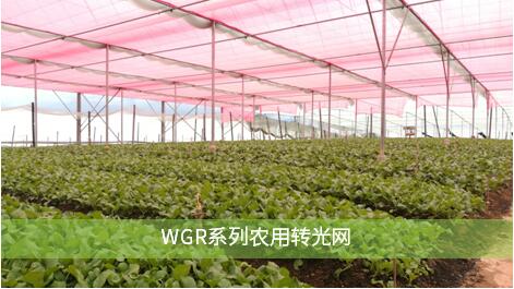 QQ截图20190329122739.jpg QQ截图20190329122739.jpg